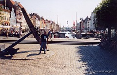 16.jpg  16
